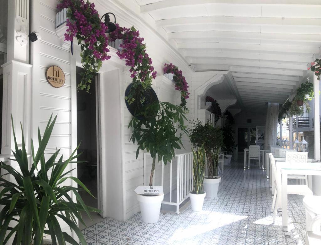 Hi Hotel Ivy Bueyuekada Adalar Luaran gambar
